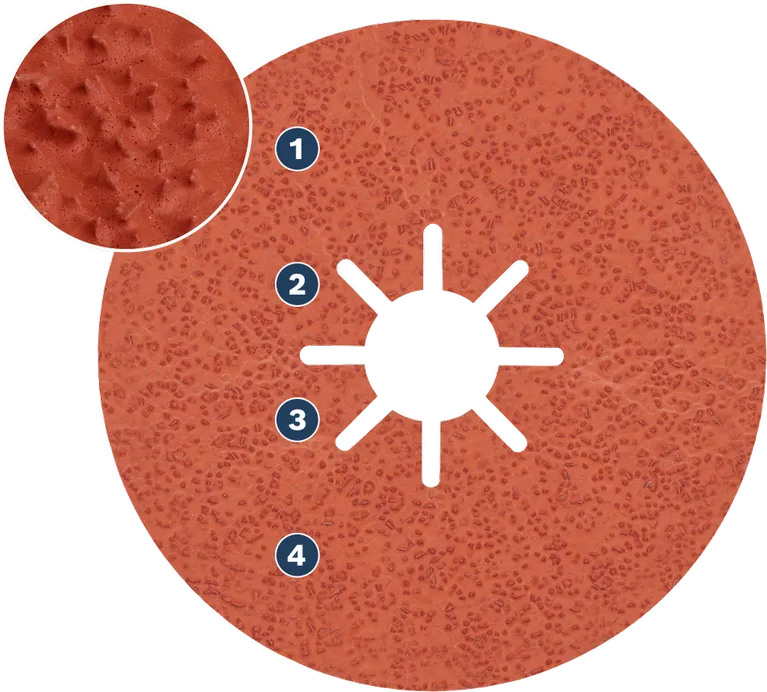 Bosch WOG 砂輪片，表面為磨料開放式網狀結構。