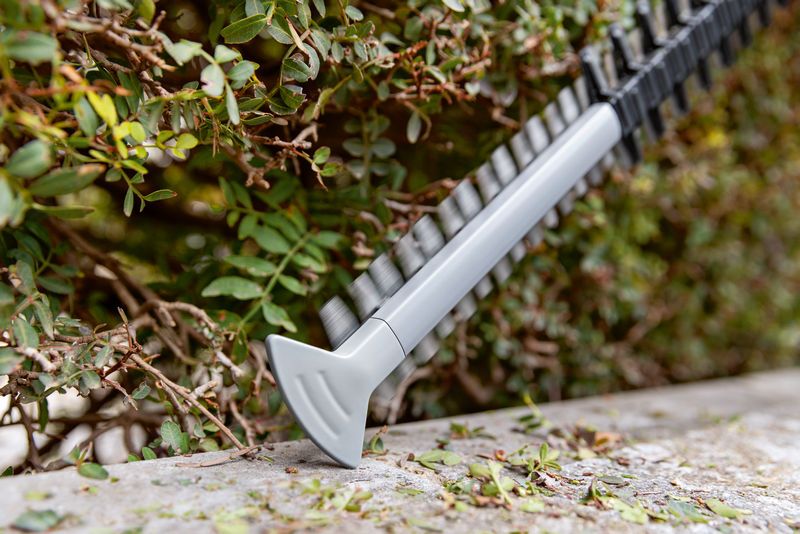 樹籬修剪機刀片正在修剪花園邊緣的綠色灌木。.