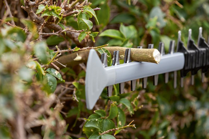 樹籬修剪機刀片正在修剪茂密綠葉中的粗樹枝。.