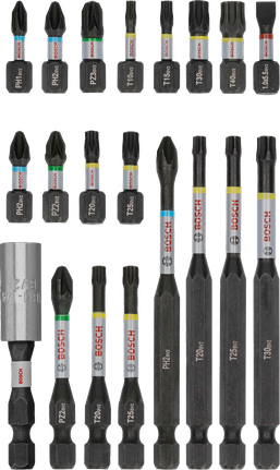 Bosch PRO 衝擊螺絲起子頭組 20 件，適用於各種緊固。.