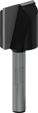 Bosch PRO 路由器直鑽頭，兩個凹槽，直徑 19 毫米。.