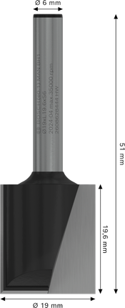 Bosch PRO 路由器直鑽頭 19 毫米雙槽。.