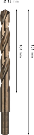 Bosch PRO HSS-Co 麻花鑽頭直徑 12 毫米。.