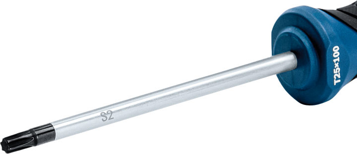 專業螺絲起子 TX25x100 mm