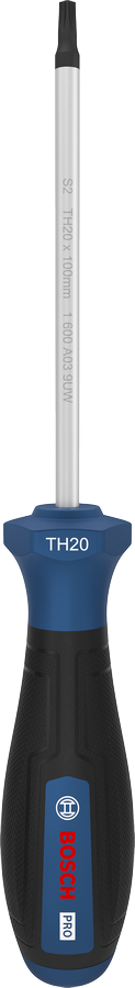 Bosch TH20 x 100 毫米螺絲刀，附人體工學手柄。