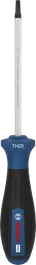 Bosch TH20 x 100 毫米螺絲刀，附人體工學手柄。