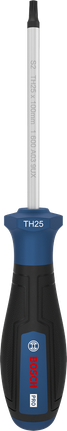 Bosch TH25 x 100 毫米螺絲刀，附人體工學手柄。