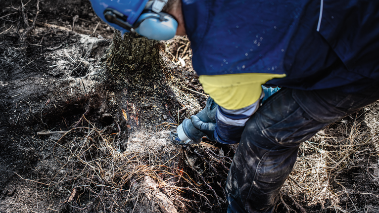 一名穿戴安全裝備的人員使用電動工具在戶外切割樹根。