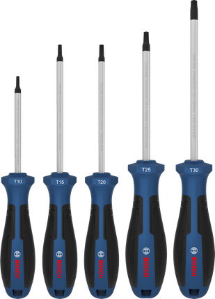 Bosch螺絲起子組 5 件，鉻釩鋼桿。